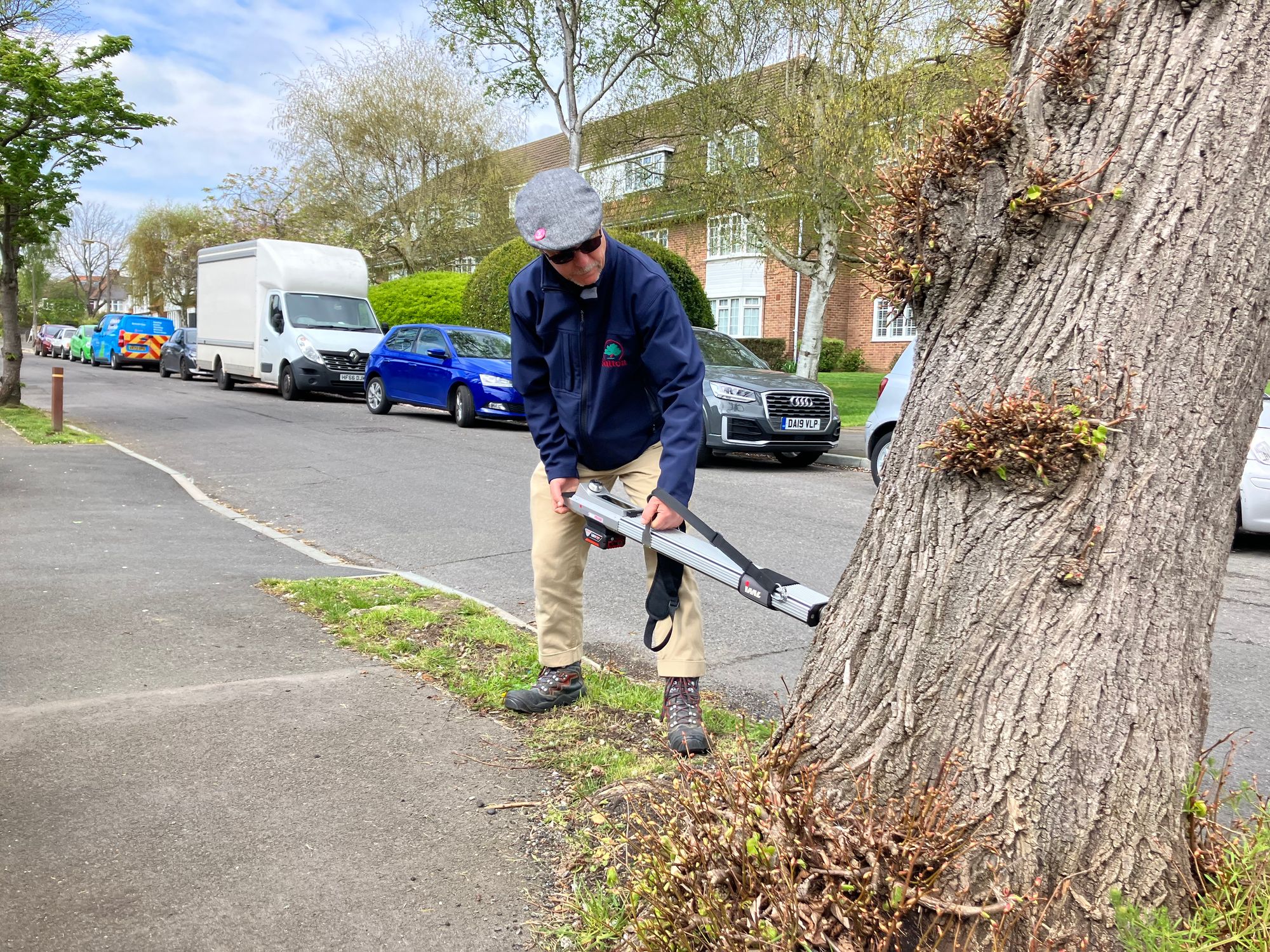 How London's trees became chronicles of climate change