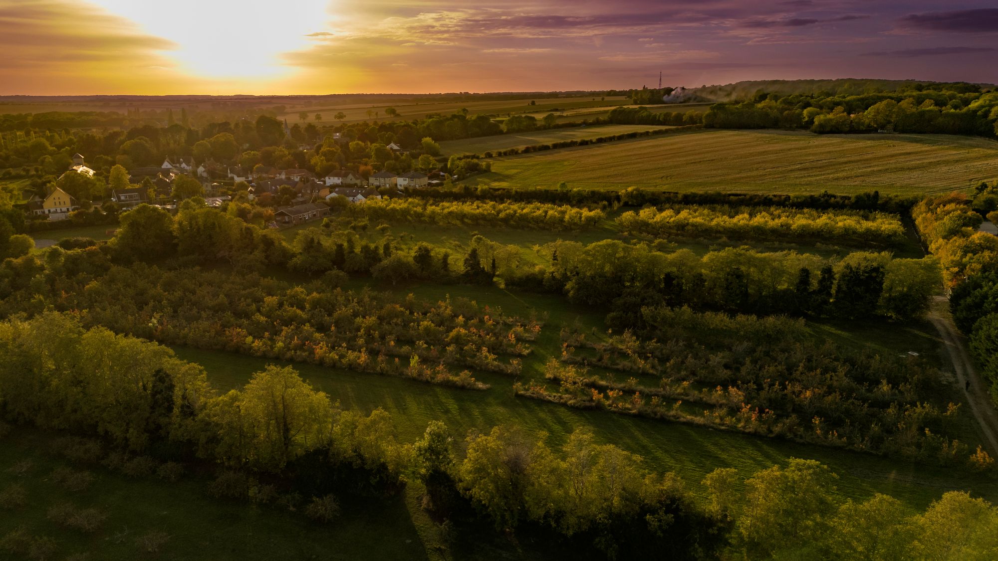 The fight is on to save Coton Orchard