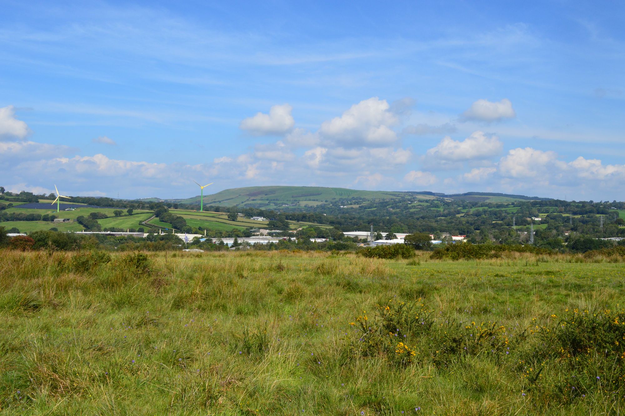 On Llantrisant Common, a butterfly took on the bureaucrats – and won