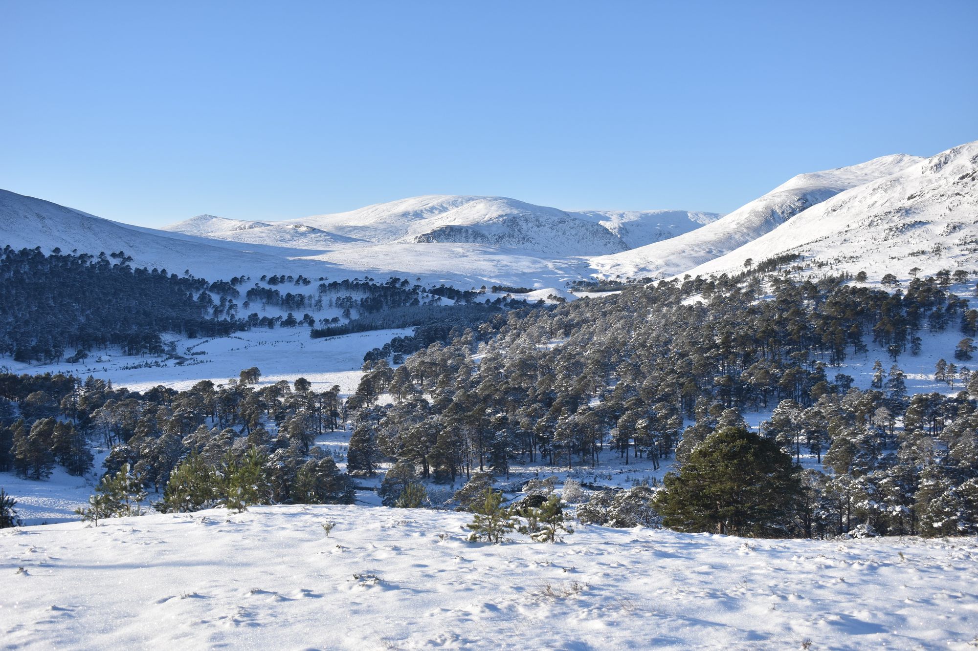 A journey through the Cairngorms – and through time