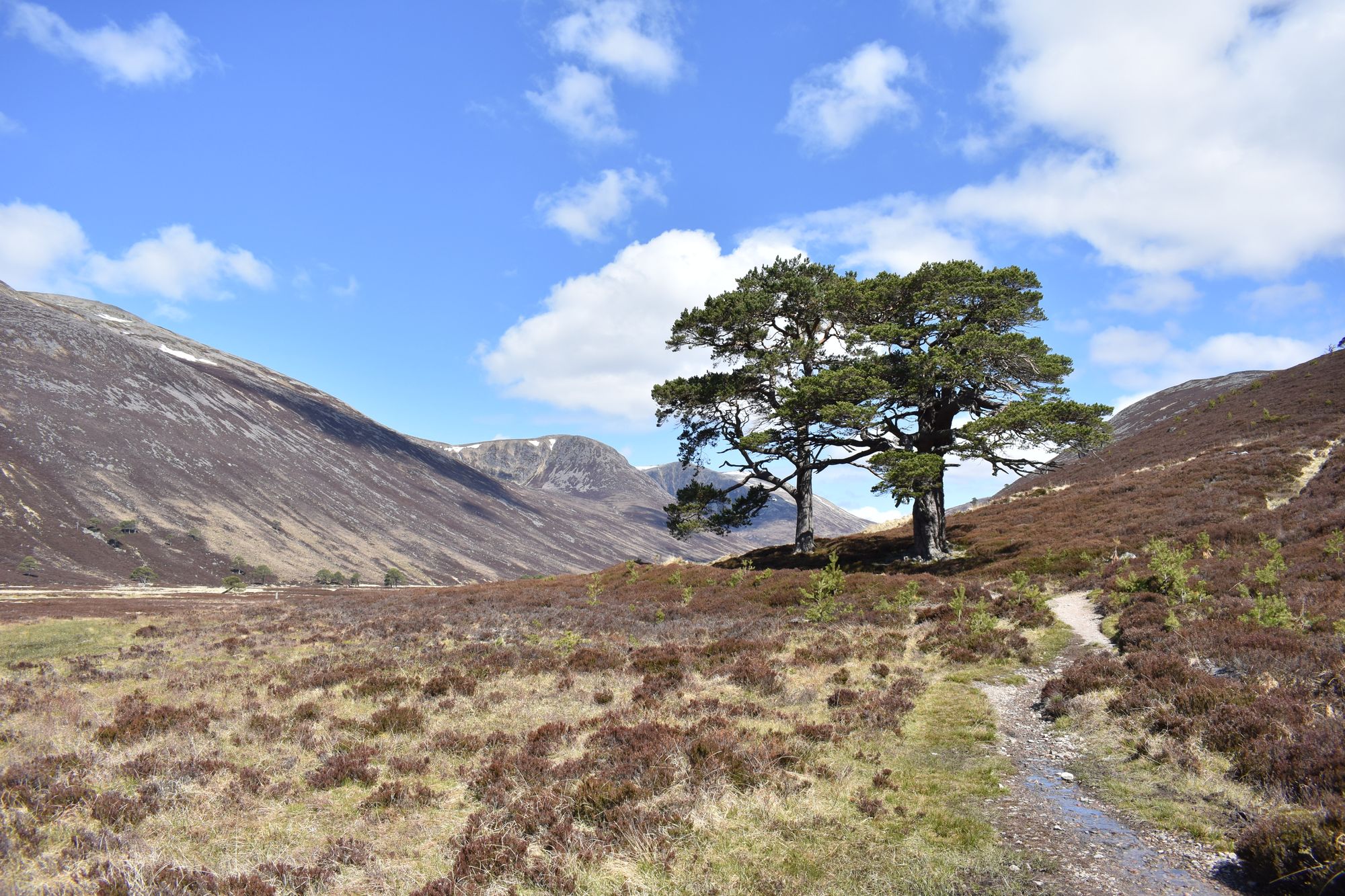 A journey through the Cairngorms – and through time