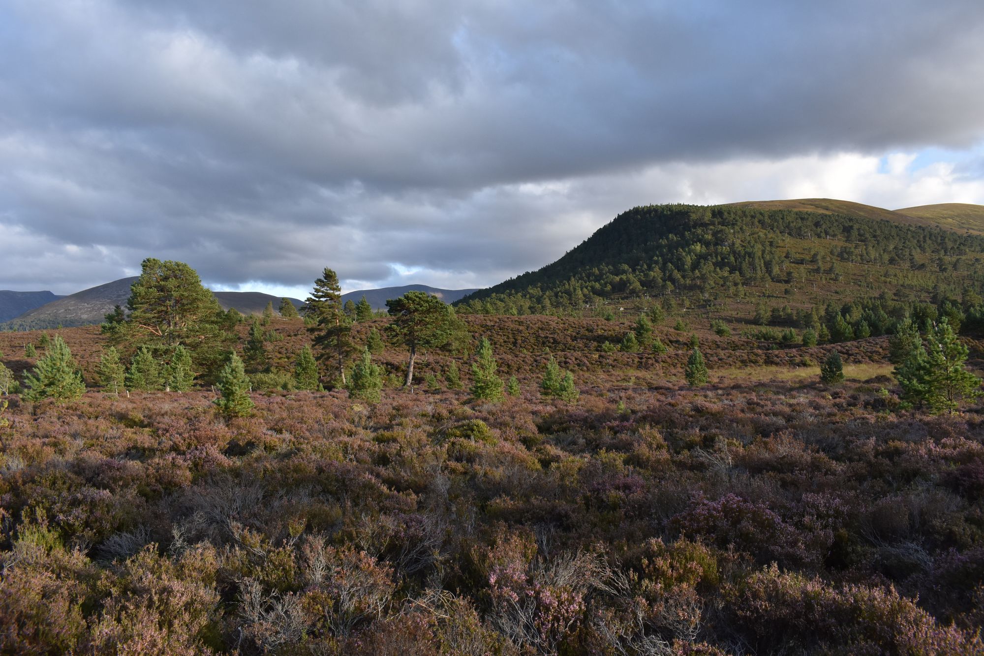 A journey through the Cairngorms – and through time