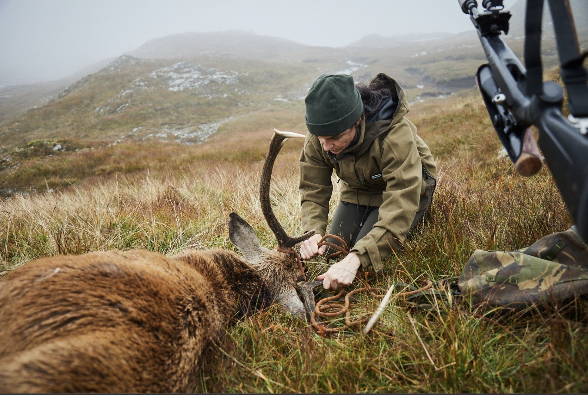 'The life of an animal is not an experiment'