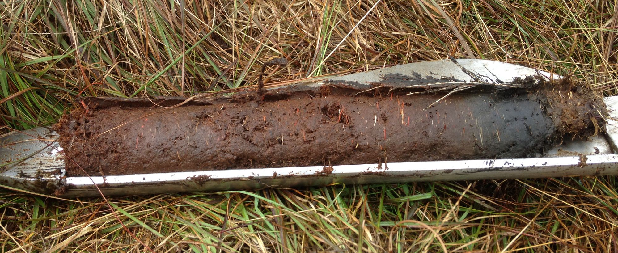 At a Manchester bog, conservationists are still battling the damage of the Industrial Revolution