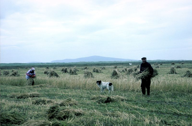 ‘Storm worse than ever today’: how schoolteachers tracked weather in the Outer Hebrides