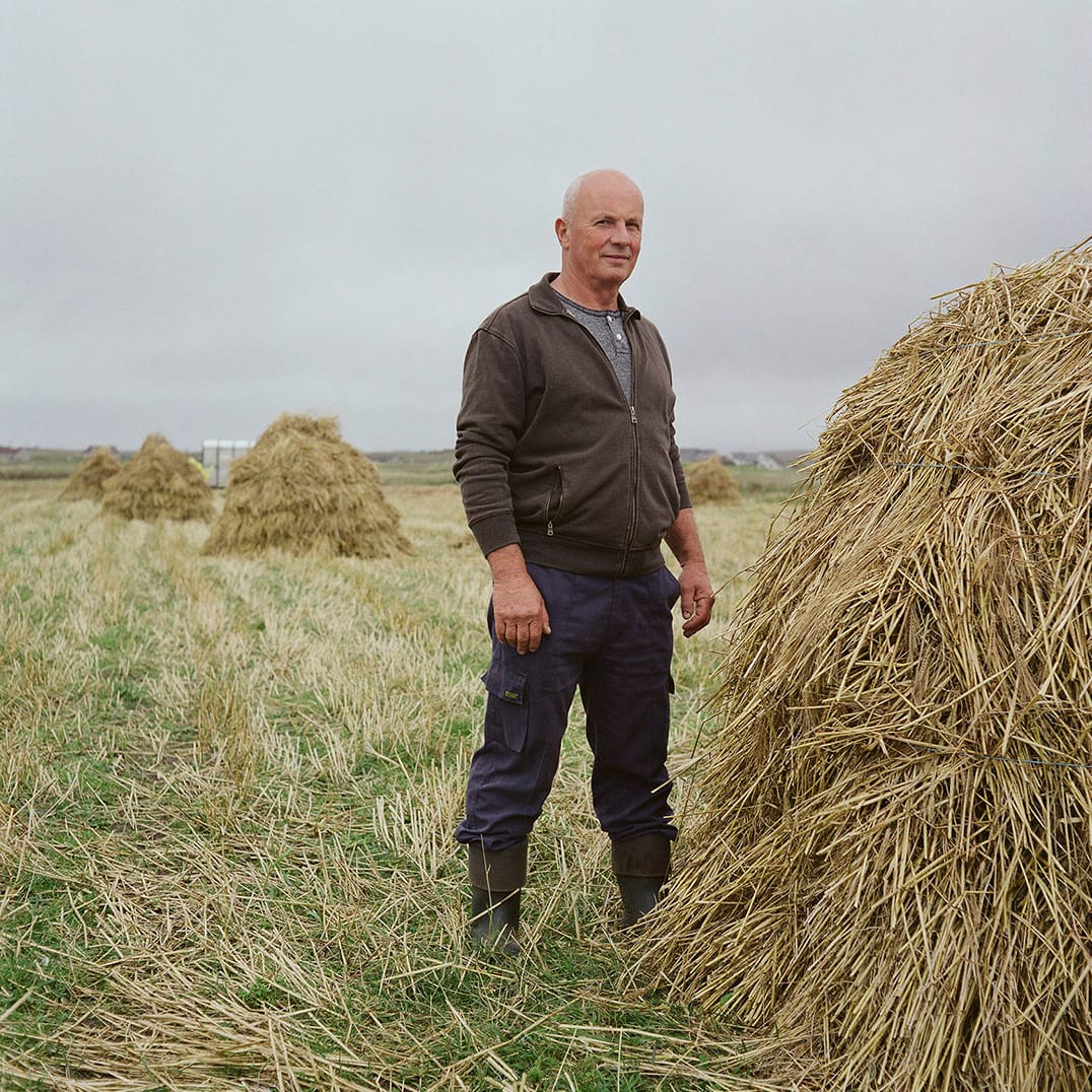 The ancient crop providing hope to islanders – and humanity