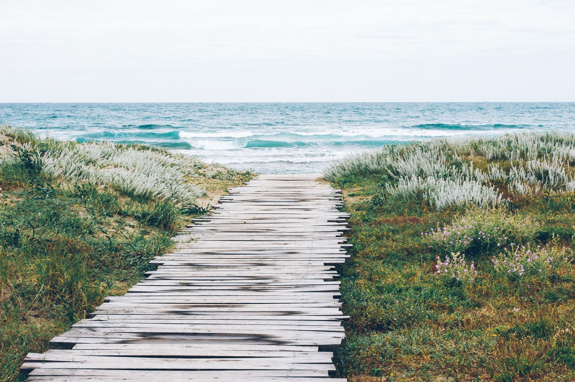 Local Elections & Ocean Rewilding