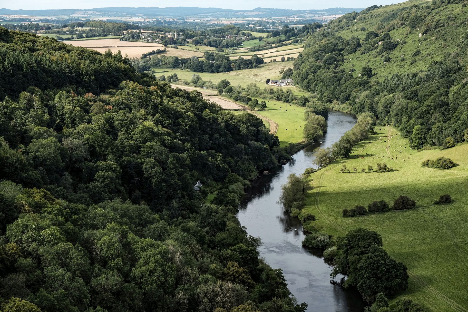 River Pollution & Colonial Ornithology