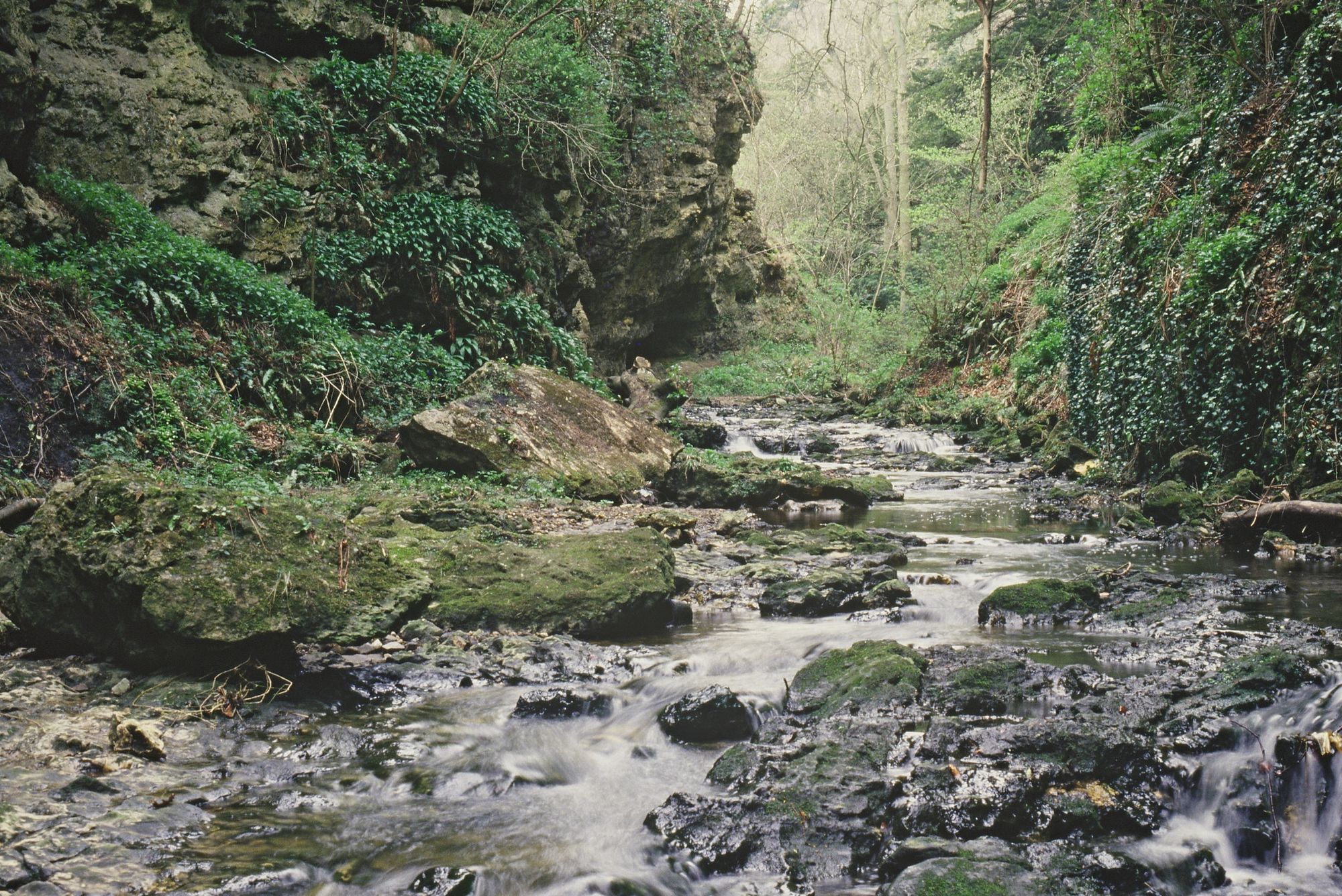 Riverside Woodland & Community Hunting