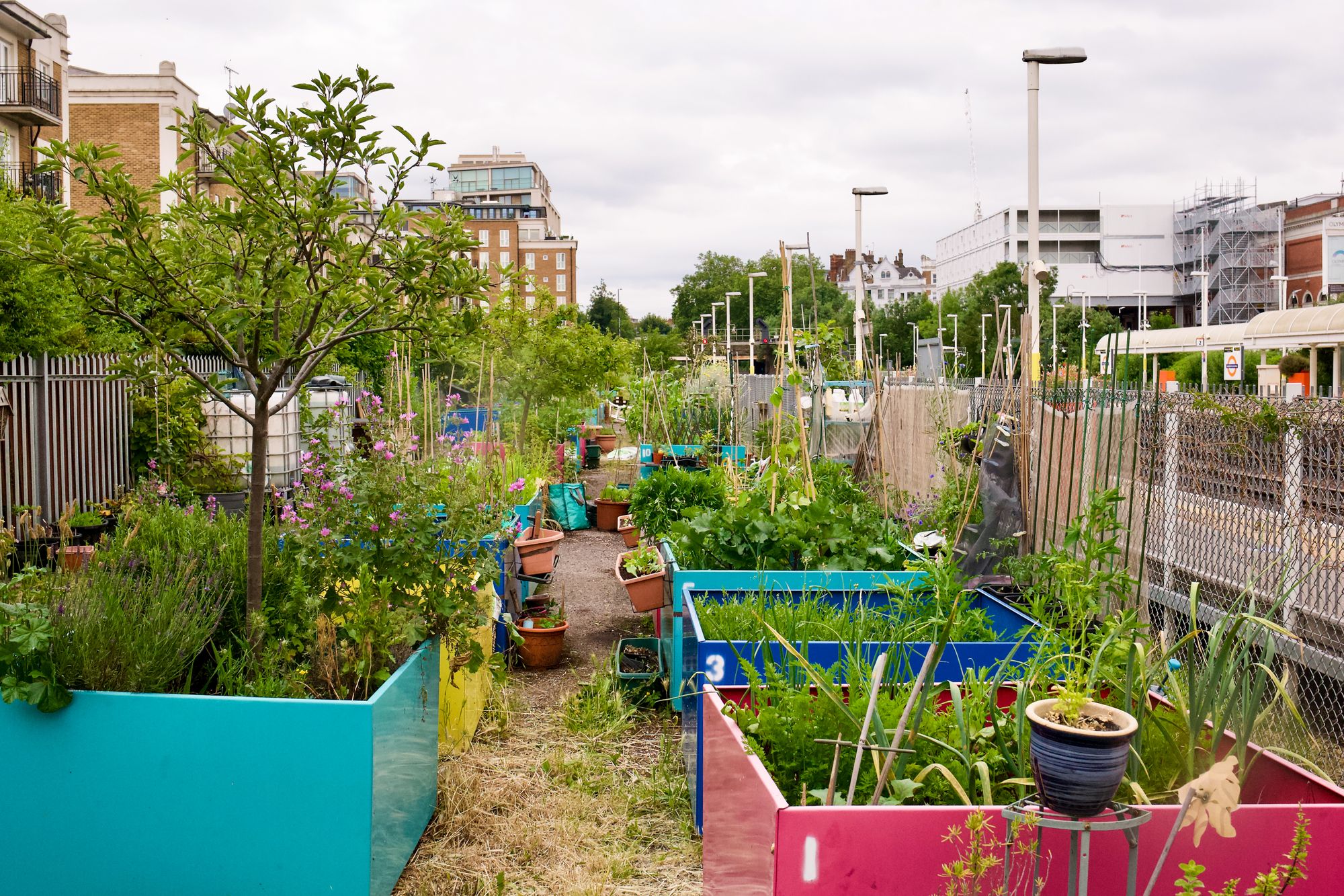 In grey city spaces, a greener future is growing