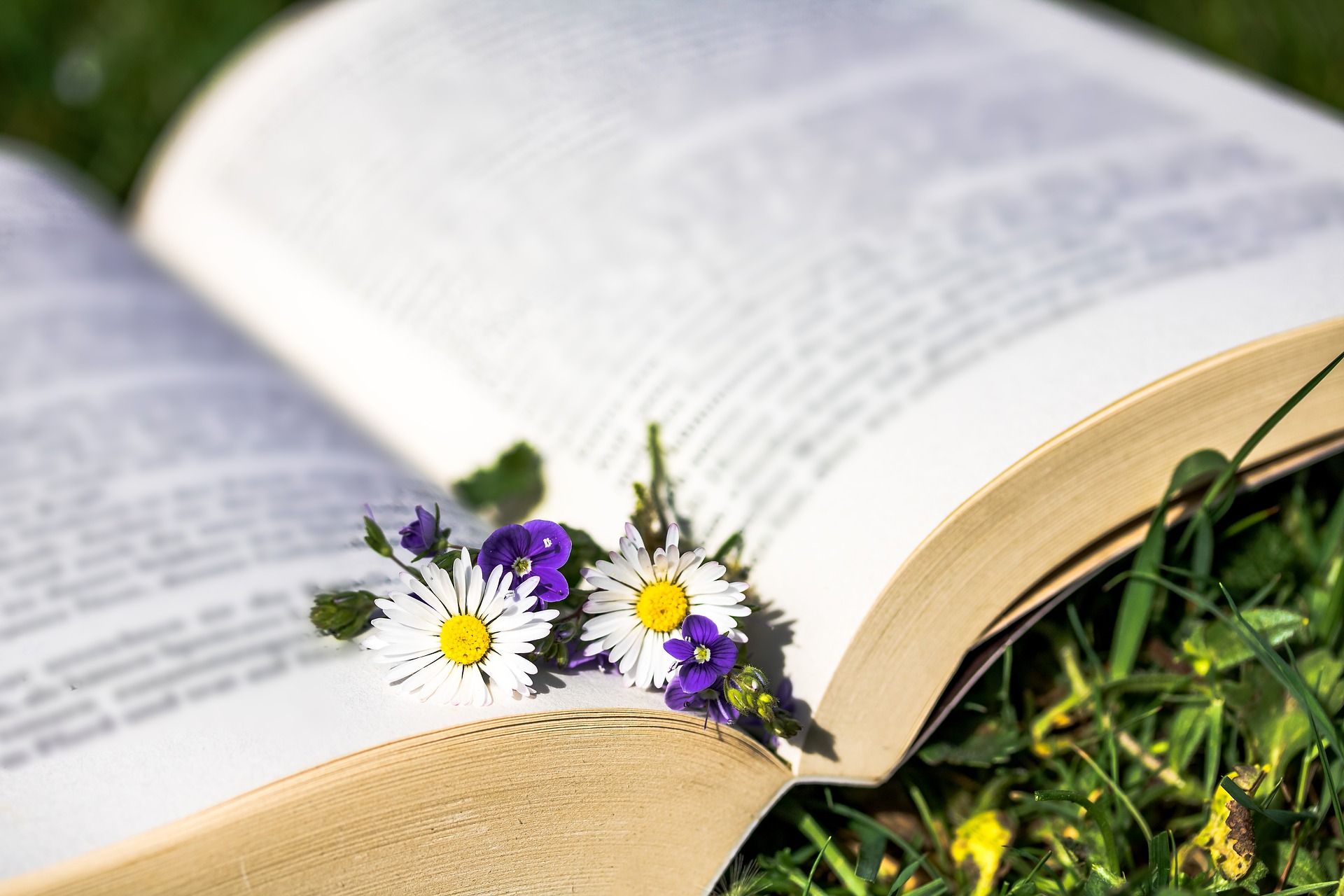 Farming Subsidies & Biodiversity in Literature