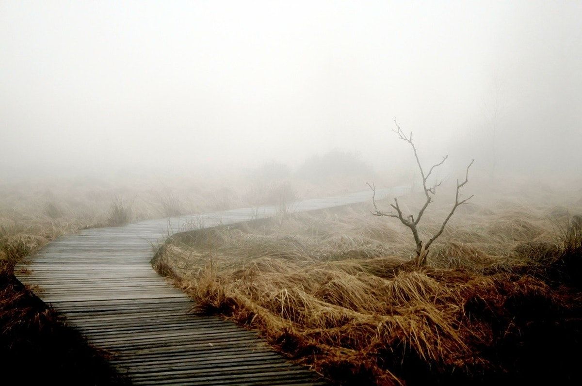 "Conservation was my lifeblood. Without it, I feel lost."