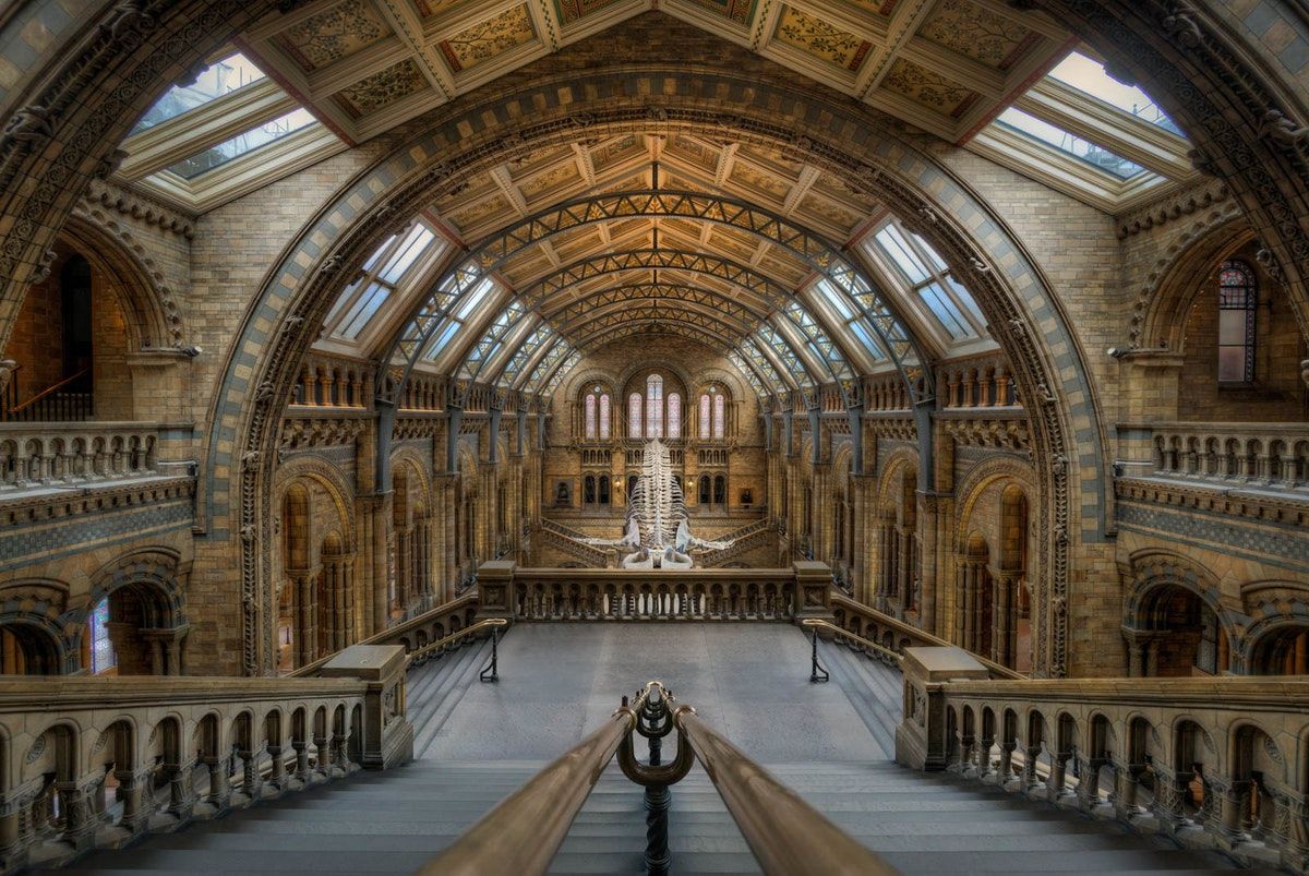 Natural history museums are rooted in racism