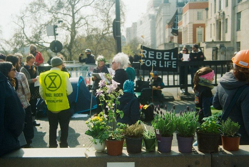 Does Extinction Rebellion care about nature?