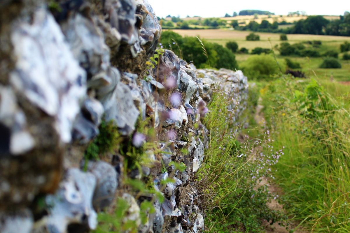 Biodiversity-Free Budget & Rural Racism