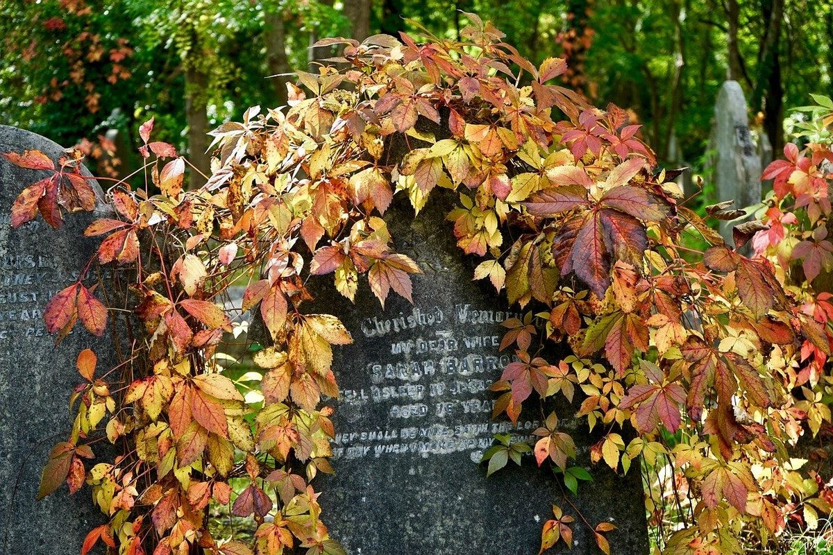 Meet the people rewilding death