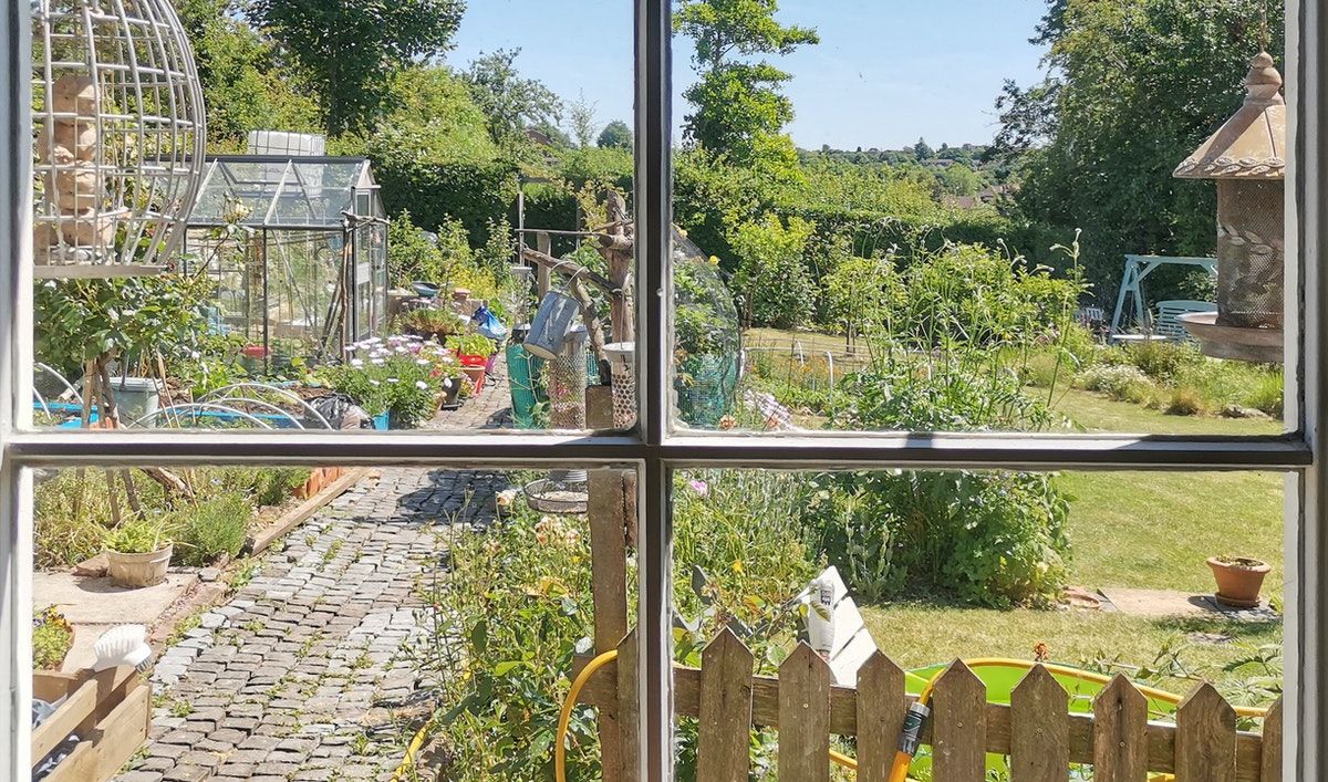 Amid the coppice and hedgerows, a vision for Britain's allotments