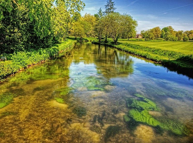 Scottish Gold & Chalk Stream Sewage