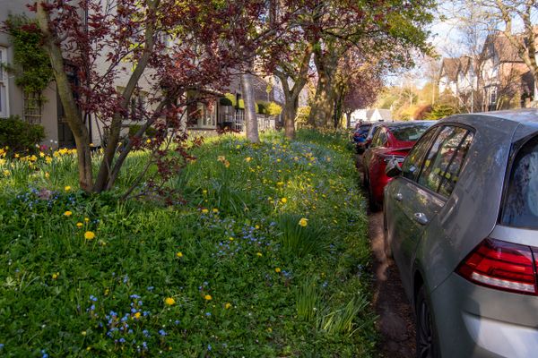 Road verges: full responses from councils