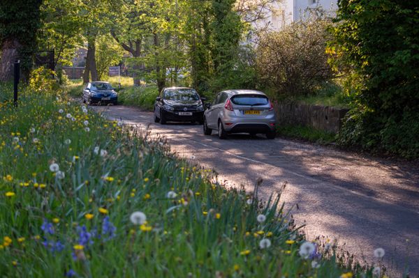 How is your local council managing its roadside verges?