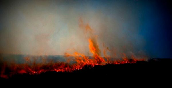 The UK's wildfire problem